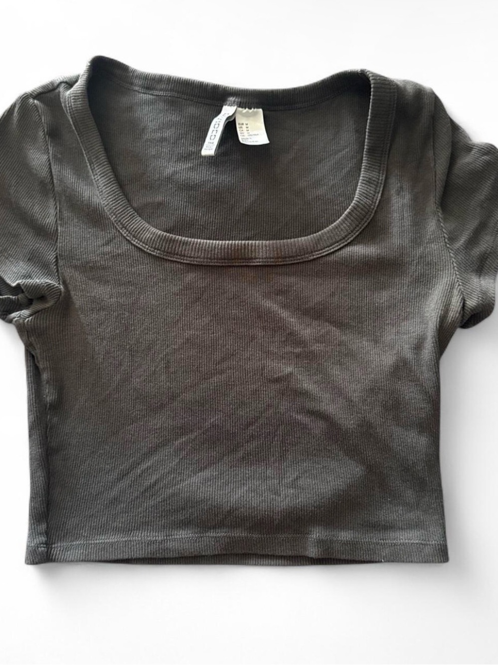 Women's Square Neck Ribbed Crop Top - Olive
